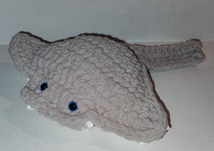 Manta Rays product image (1)