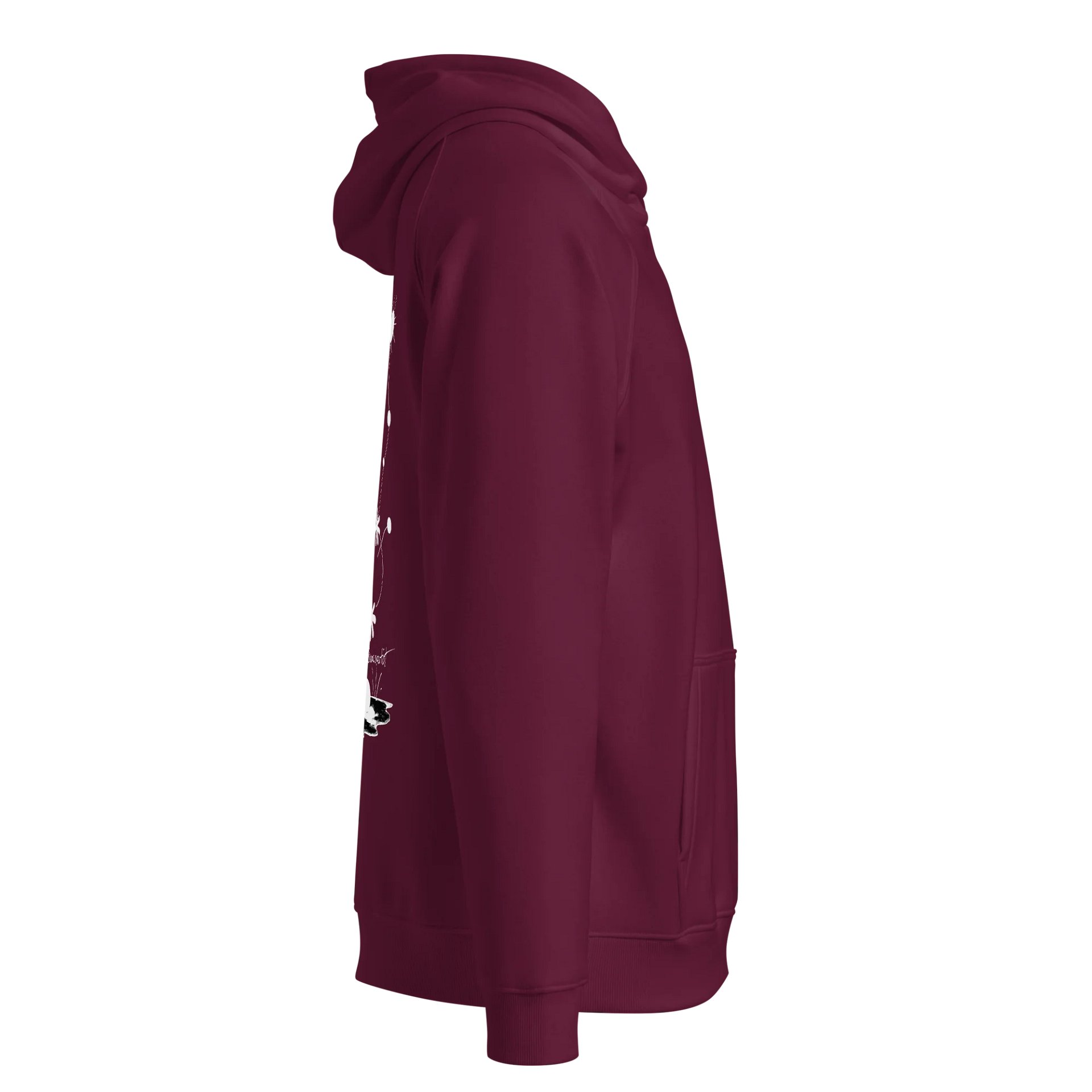 SOL'S Unisex Eco Raglan Hoodie product image (4)