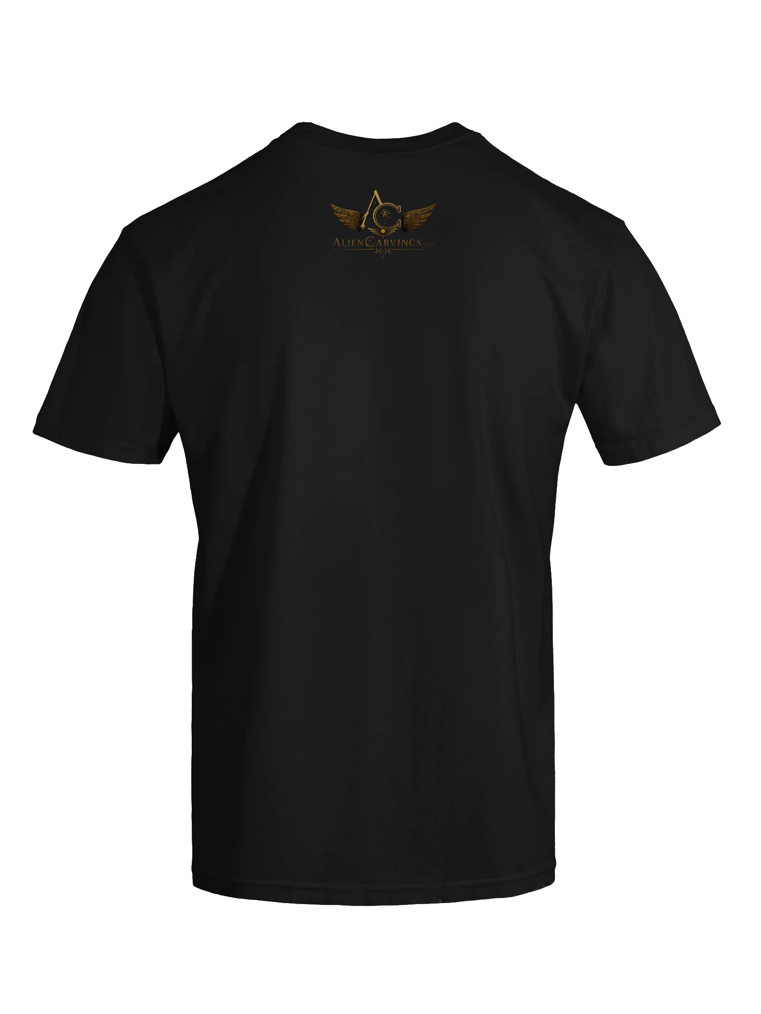 Going Up, UFO Premium T-Shirt product image (7)