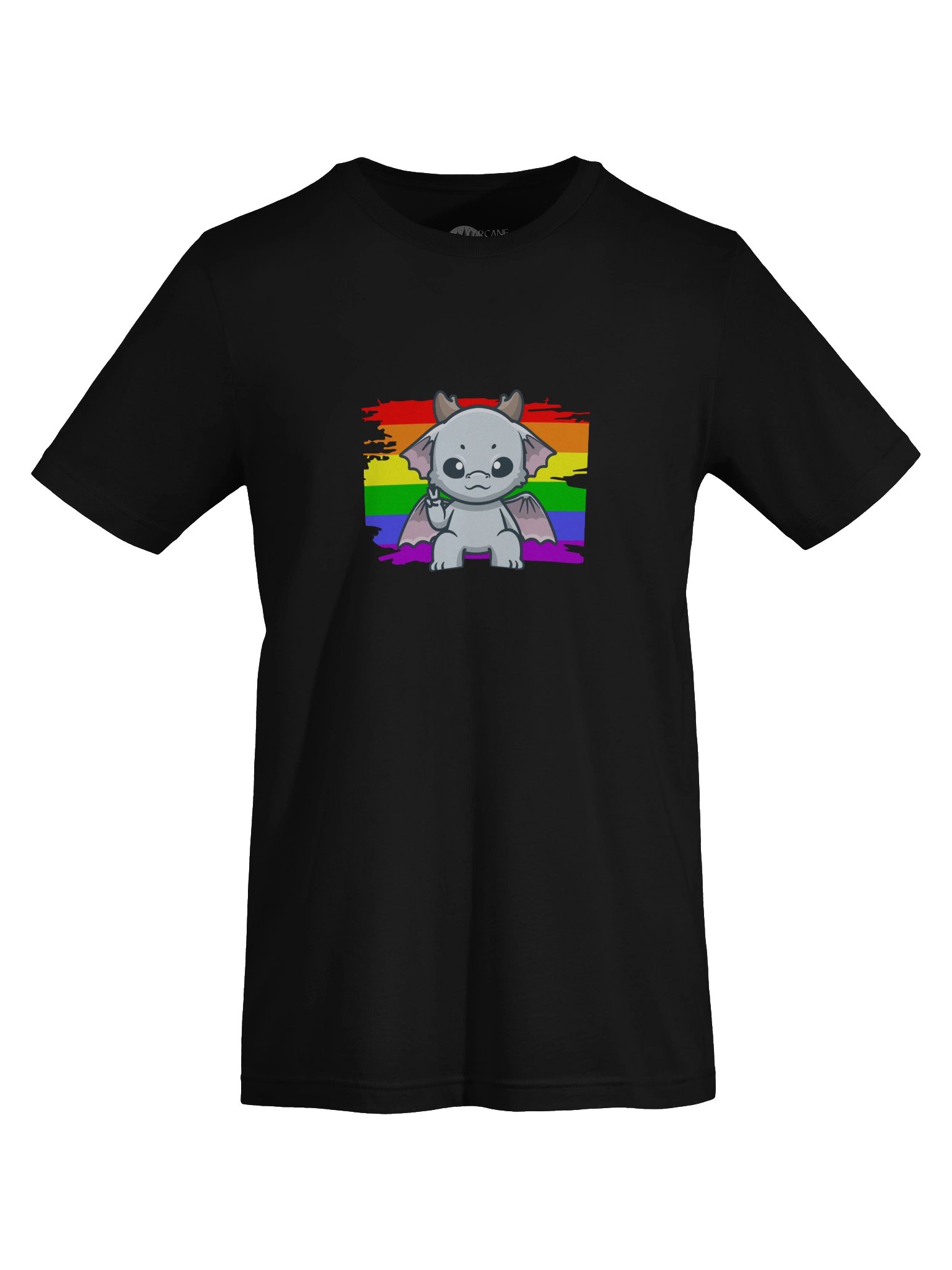 Lil'Dragon PRIDE T-Shirt product image (22)