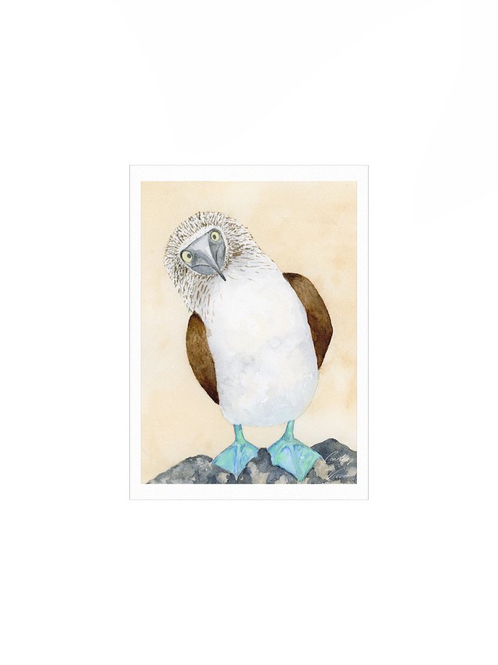Blue-footed booby print product image (1)