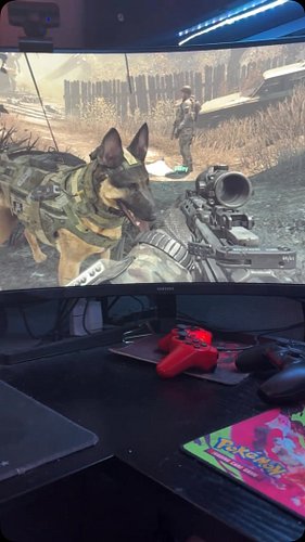 Didn’t expect Call of Duty: Ghosts to become my dog’s favorite game. Riley has her full attention. 🐕🎮 #GermanShepherd #CODGho...