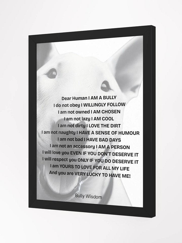 Bull Terrier "Dear Human, I am a Bully" product image (12)
