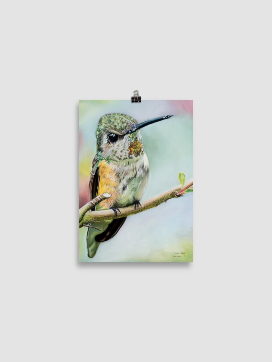 Wilmas Garden ~ Hummingbird Enhanced Matte Paper Poster product image (2)