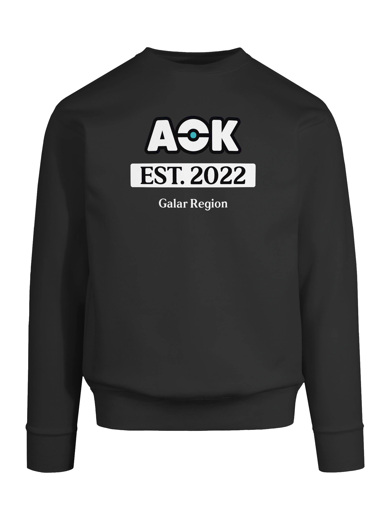 AOK Established Premium Sweatshirt product image (44)