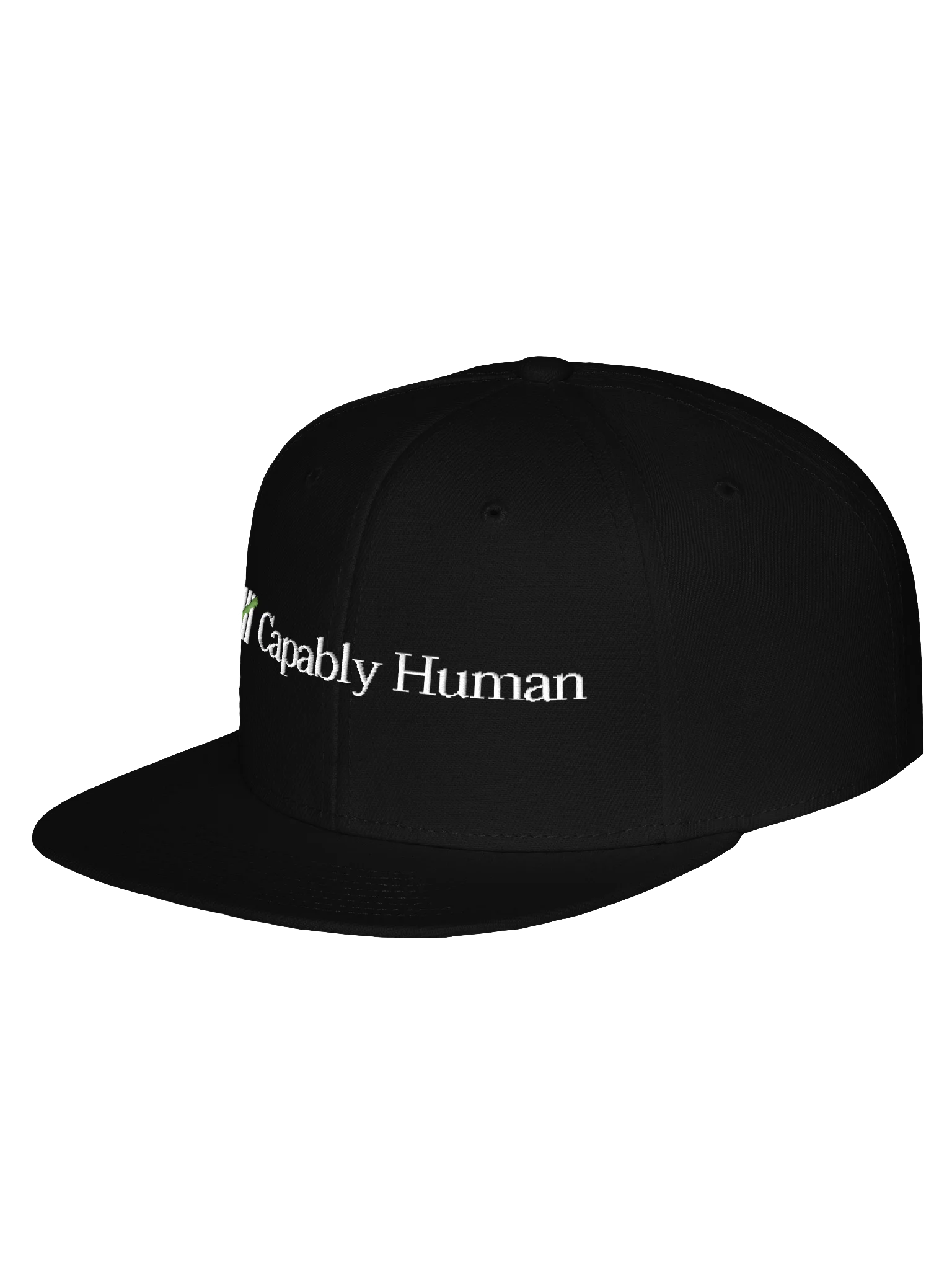 Capably Human - Wool Blend Snapback Cap product image (4)