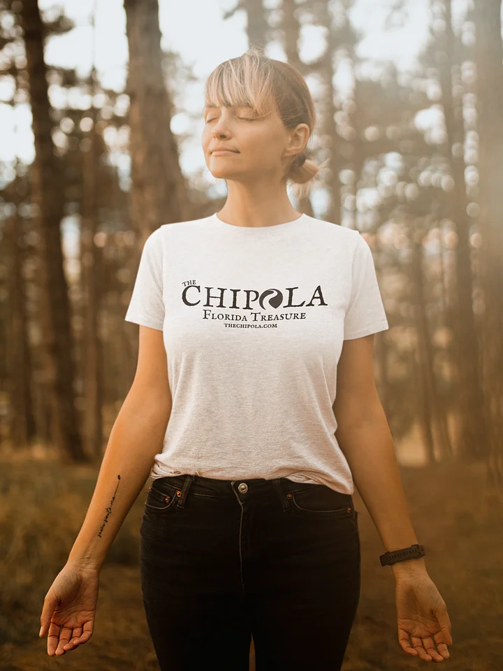 The Basic Chipola Tee..Flash Sale product image (1)