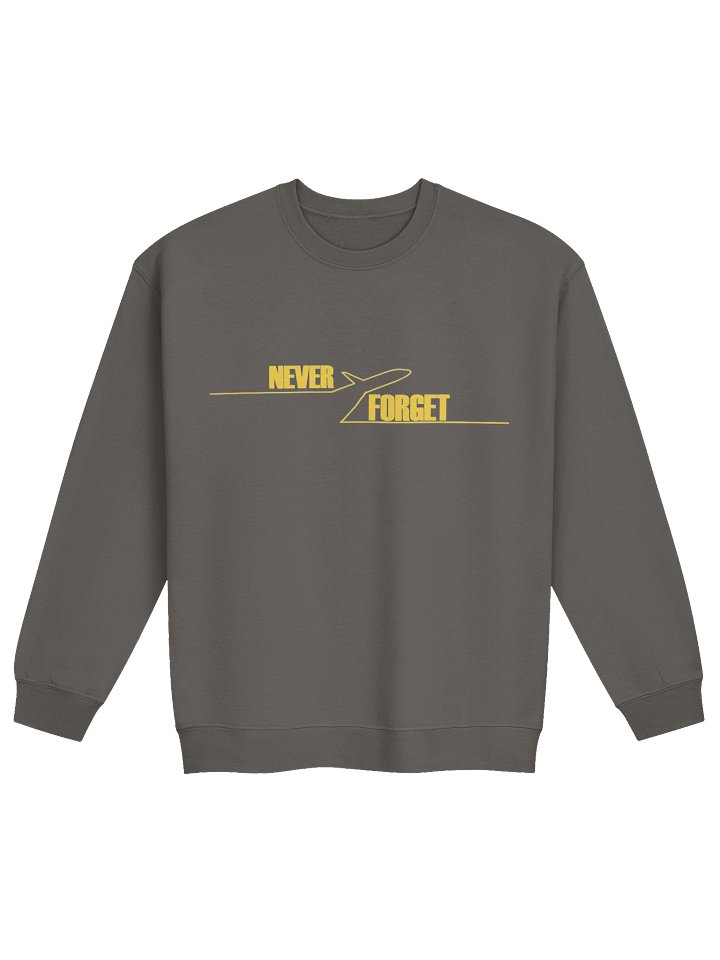 NEVER FORGET SPIRIT AIRLINES 🙏🏾🕊️✨ — SWEATSHIRT (DARK + FULL) product image (9)