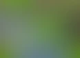 sneak peak's tag thumbnail