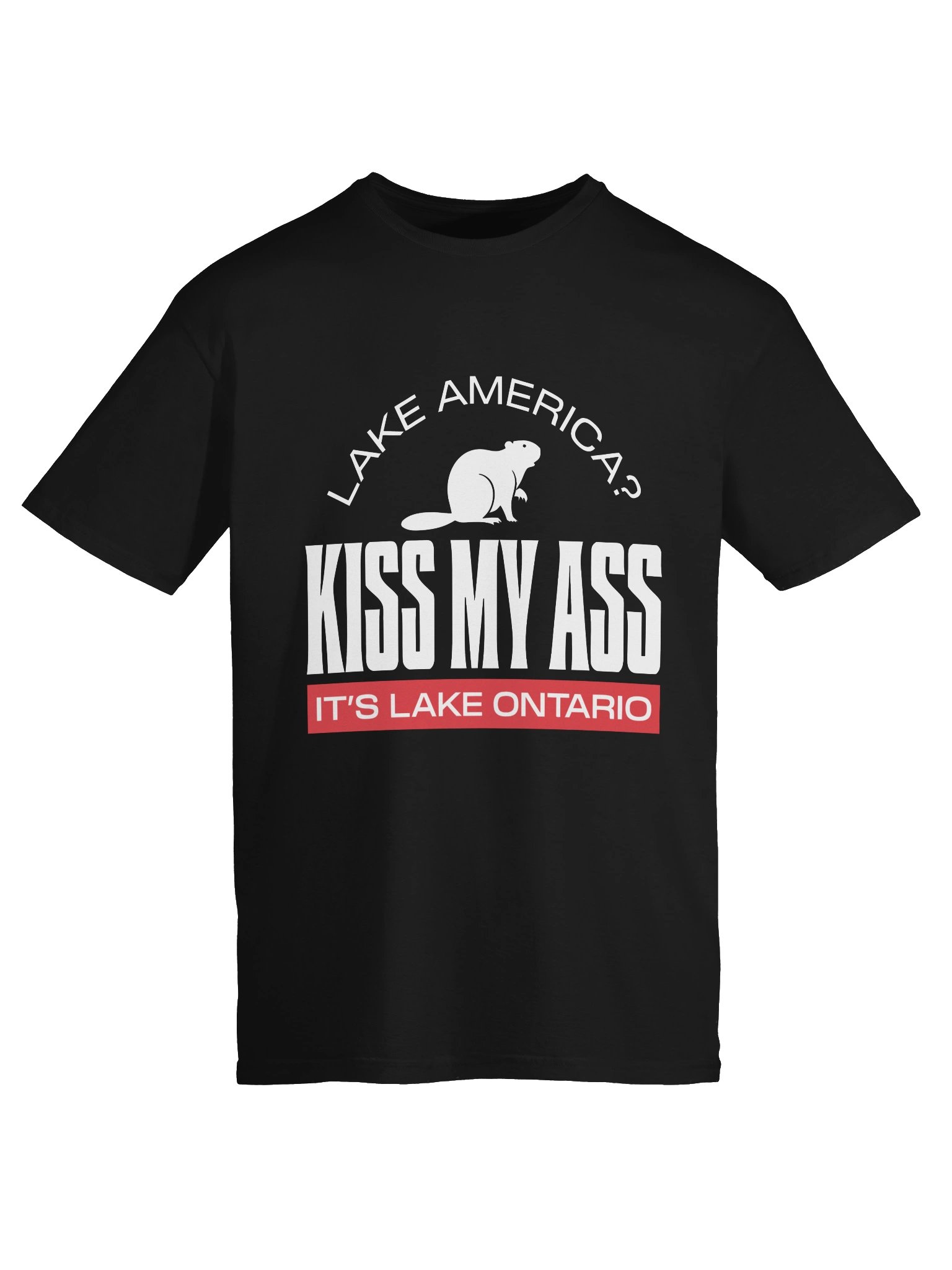 Kiss My Ass - It's Lake Ontario tee - White Edition product image (18)