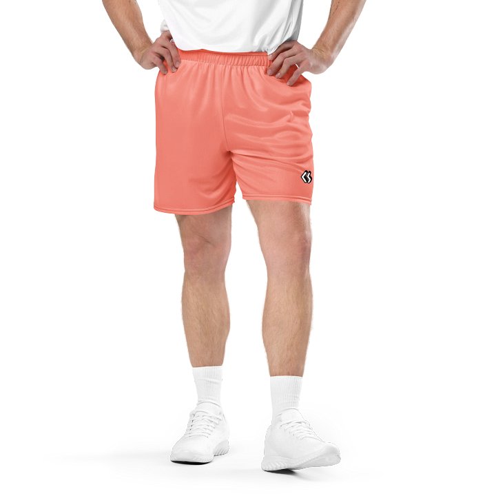CS Shorts product image (2)