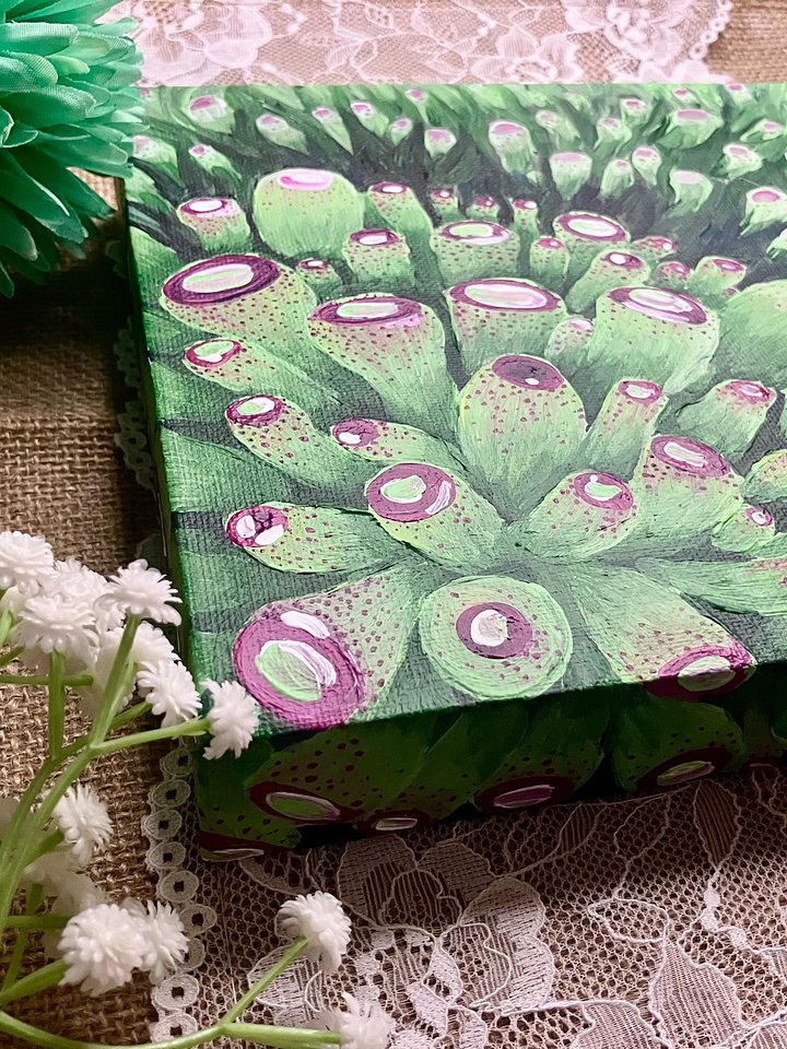 Succulent Cluster Acrylic Painting On Canvas product image (2)