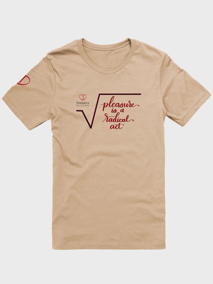 Pleasure is a radical act T-Shirt product image (1)