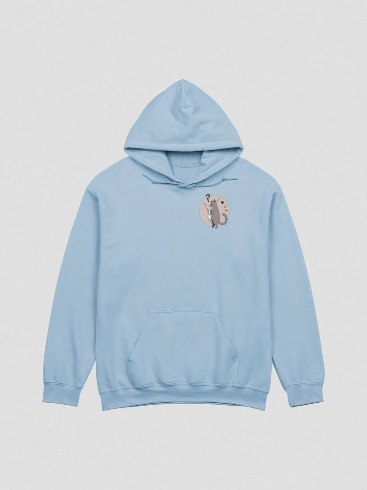 Lost Cat Small Front Logo Hoodie product image (1)