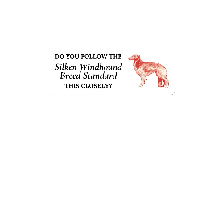 Do You Follow the Standard - Magnet product image (1)