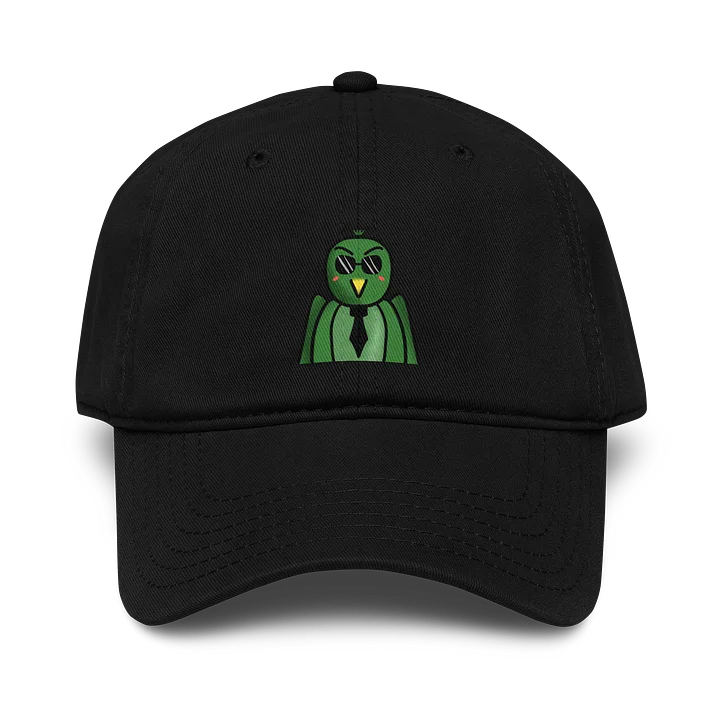 Anna the Parrot Garment-Washed Cap product image (1)