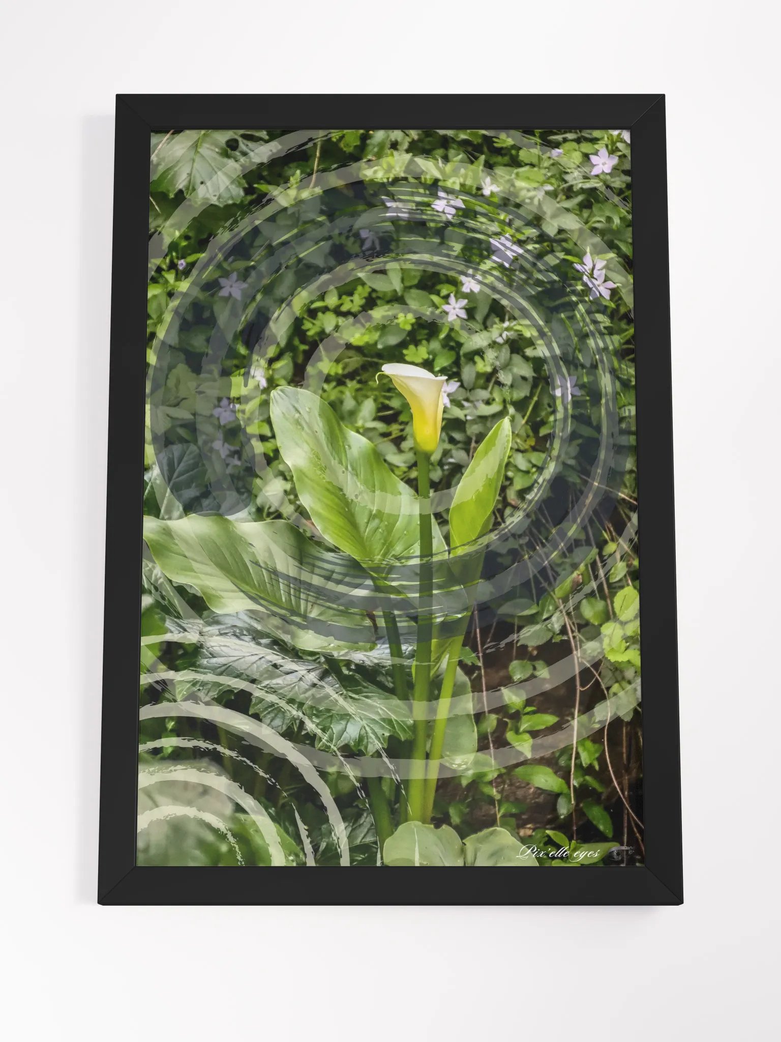 GeoGraphik Art Print – Rayol Canadel – White Arum product image (7)