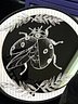 Ladybug Mirror