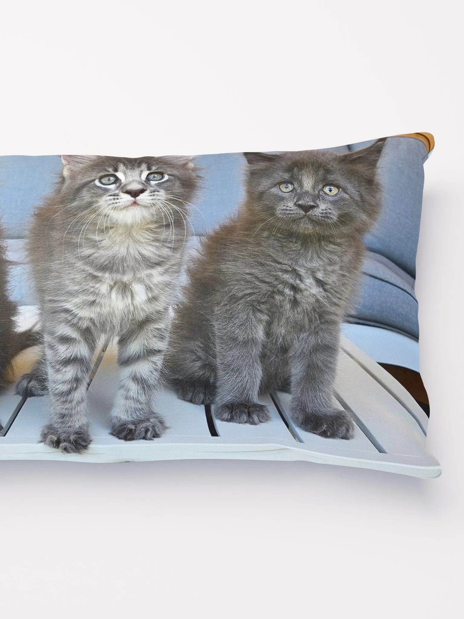 Luna's Kittens - Pillow product image (3)