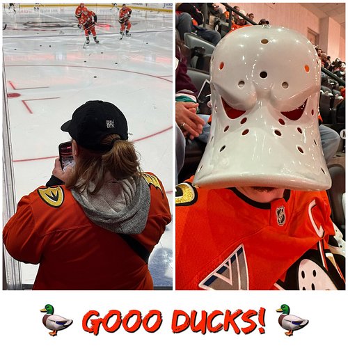 🧡🦆 Home Openers Vibes 🐥🧡