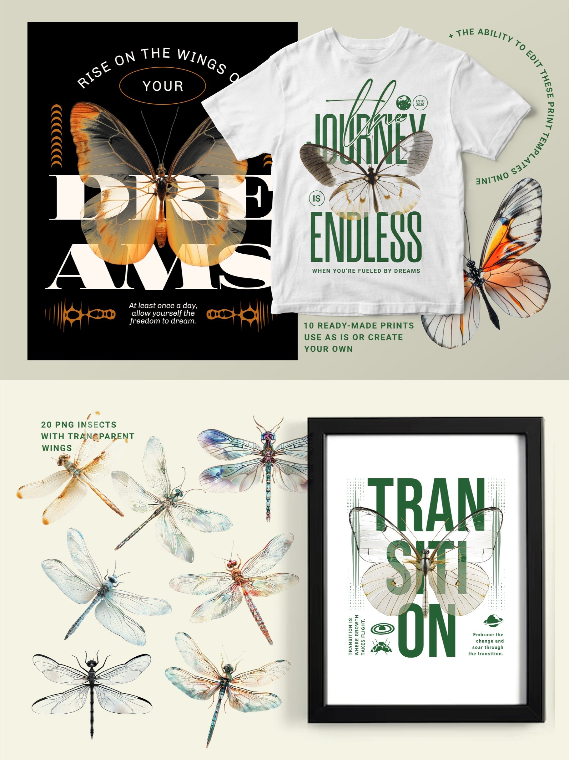 Transparent Wings Contemporary Art product image (2)