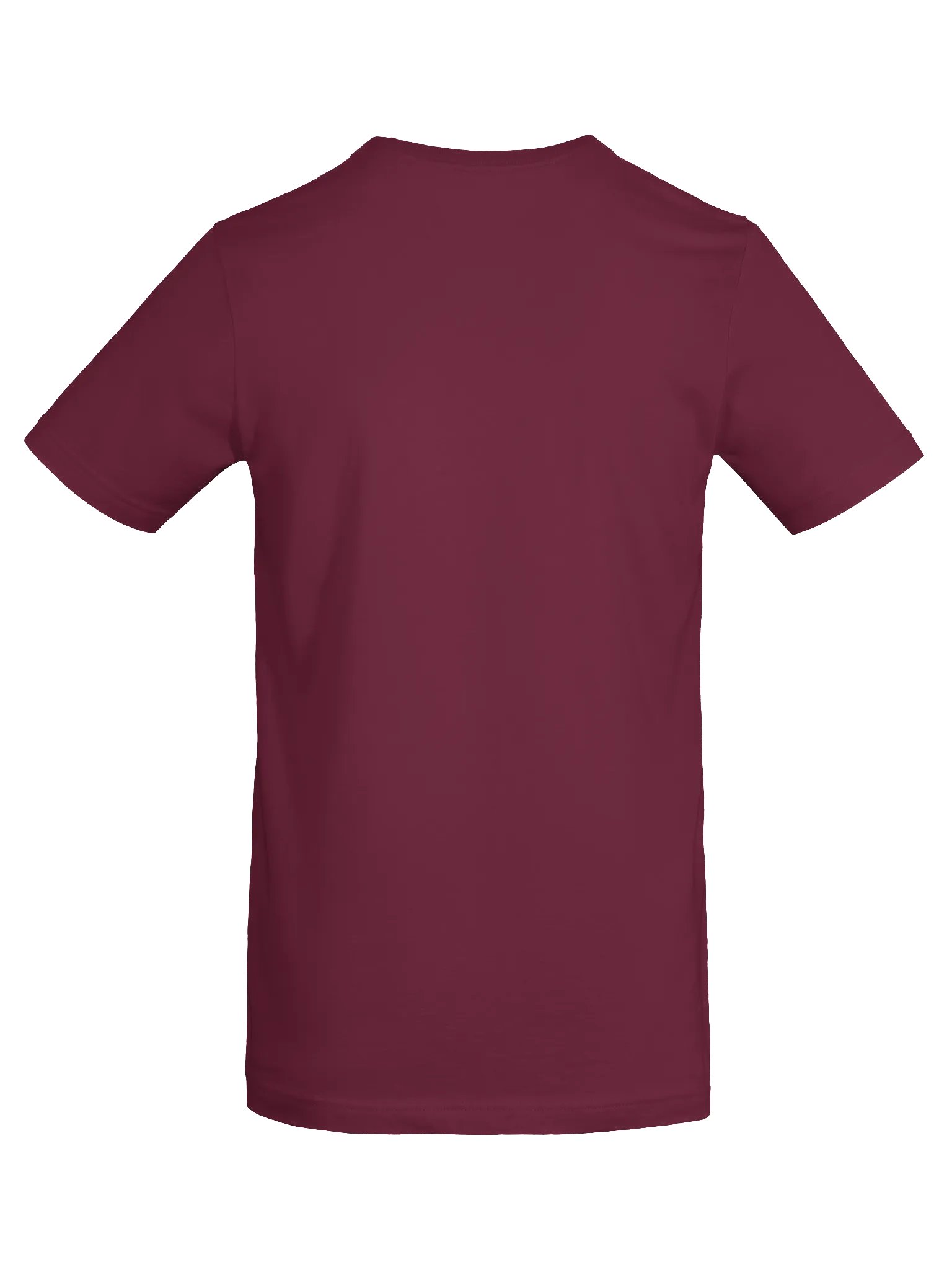 Omnisexual Happy Pride big print tee product image (8)