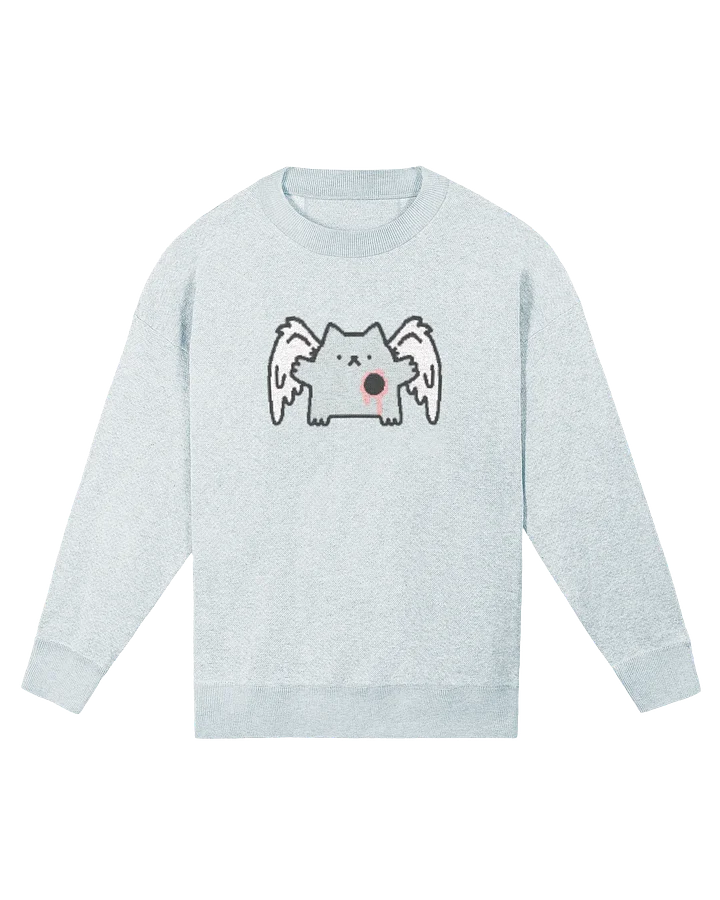 ˚₊‧꒰ა Angel Knit ໒꒱ ‧₊˚ product image (2)
