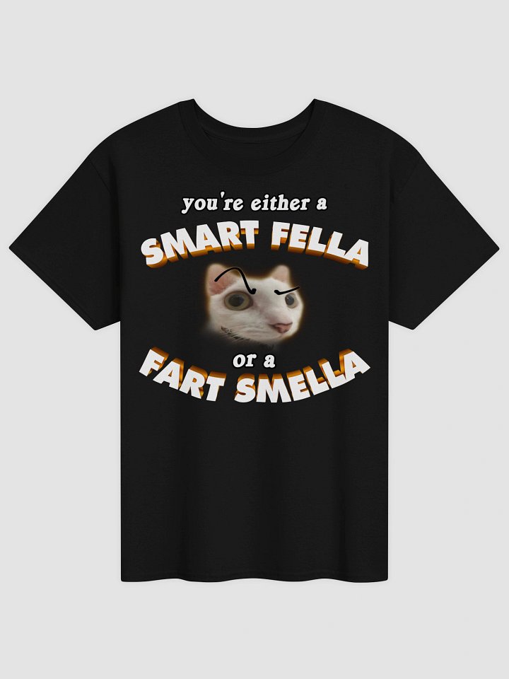 You're either a smart fella or a fart smella T-shirt product image (5)