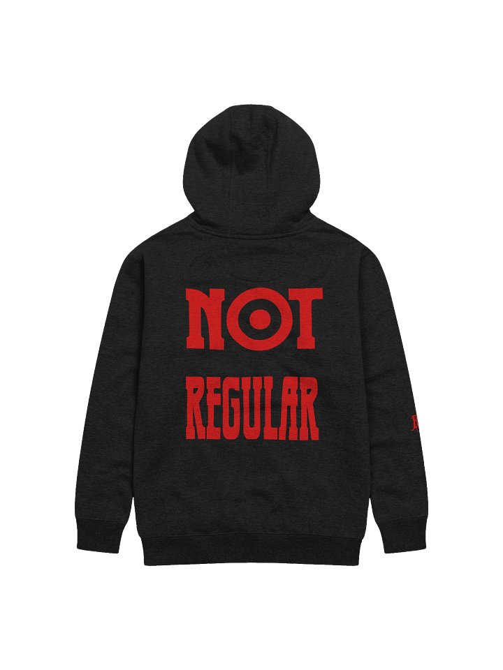 "NOT REGULAR" HOODIE product image (15)