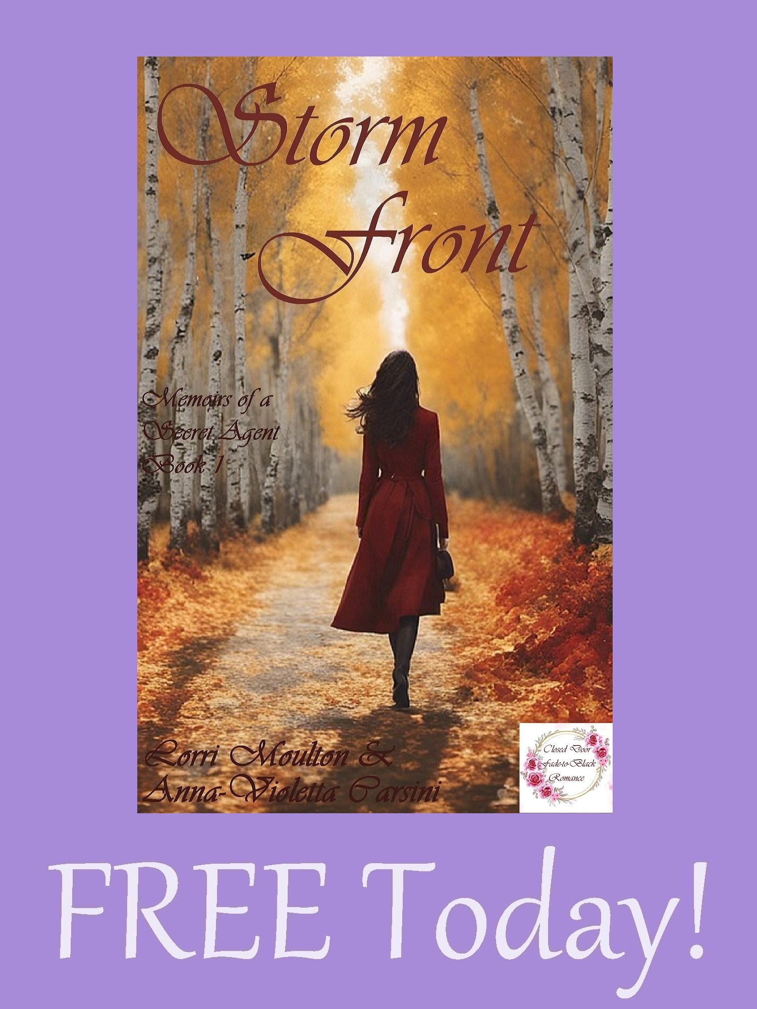 Storm Front EBOOK - FREE Today! product image (1)