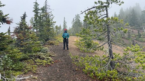 On our last trip of the year to the rim of a volcanic cinder cone to finish some details of this year’s botanical survey, we ...