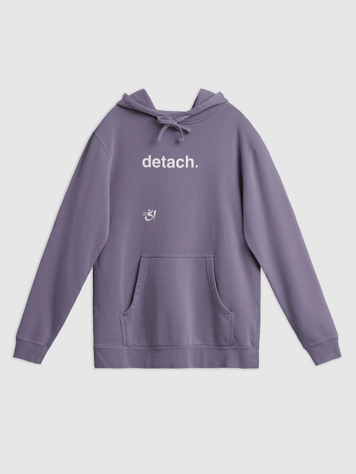 detach. hoodie product image (1)