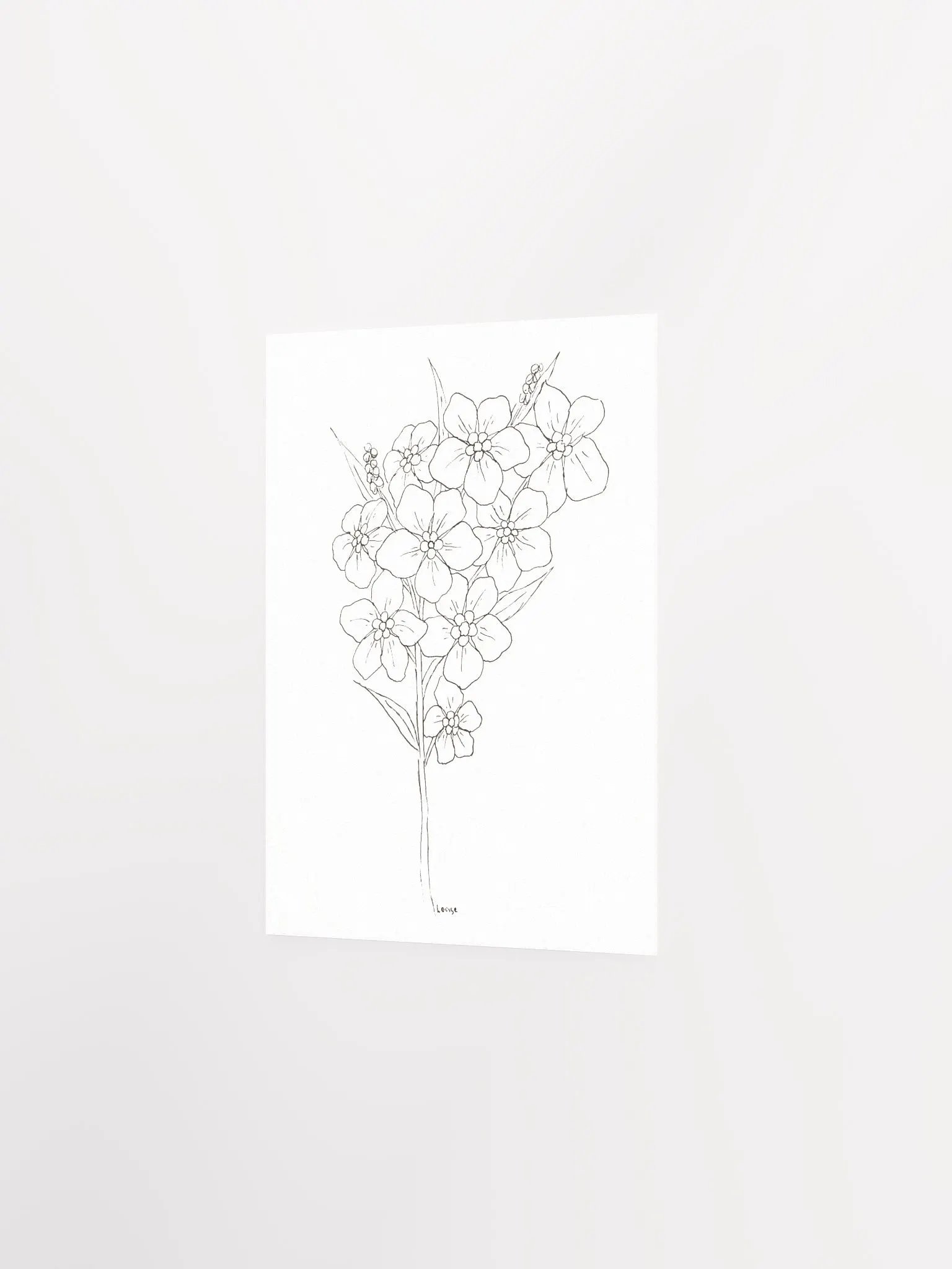 Forget-Me-Not Line Art Poster product image (2)