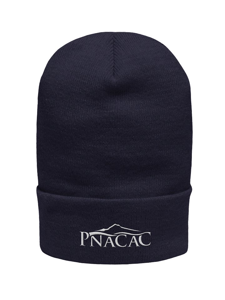 Cuffed Beanie (Embroidered) product image (3)
