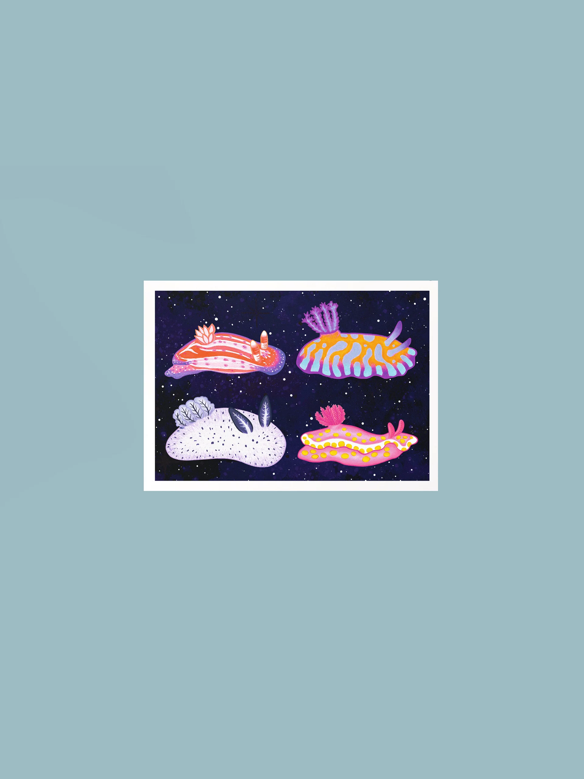 Sea Slugs: Set 1 - Print product image (2)