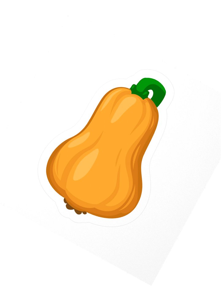 Butternut Squash product image (2)