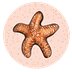Starfish Sticker