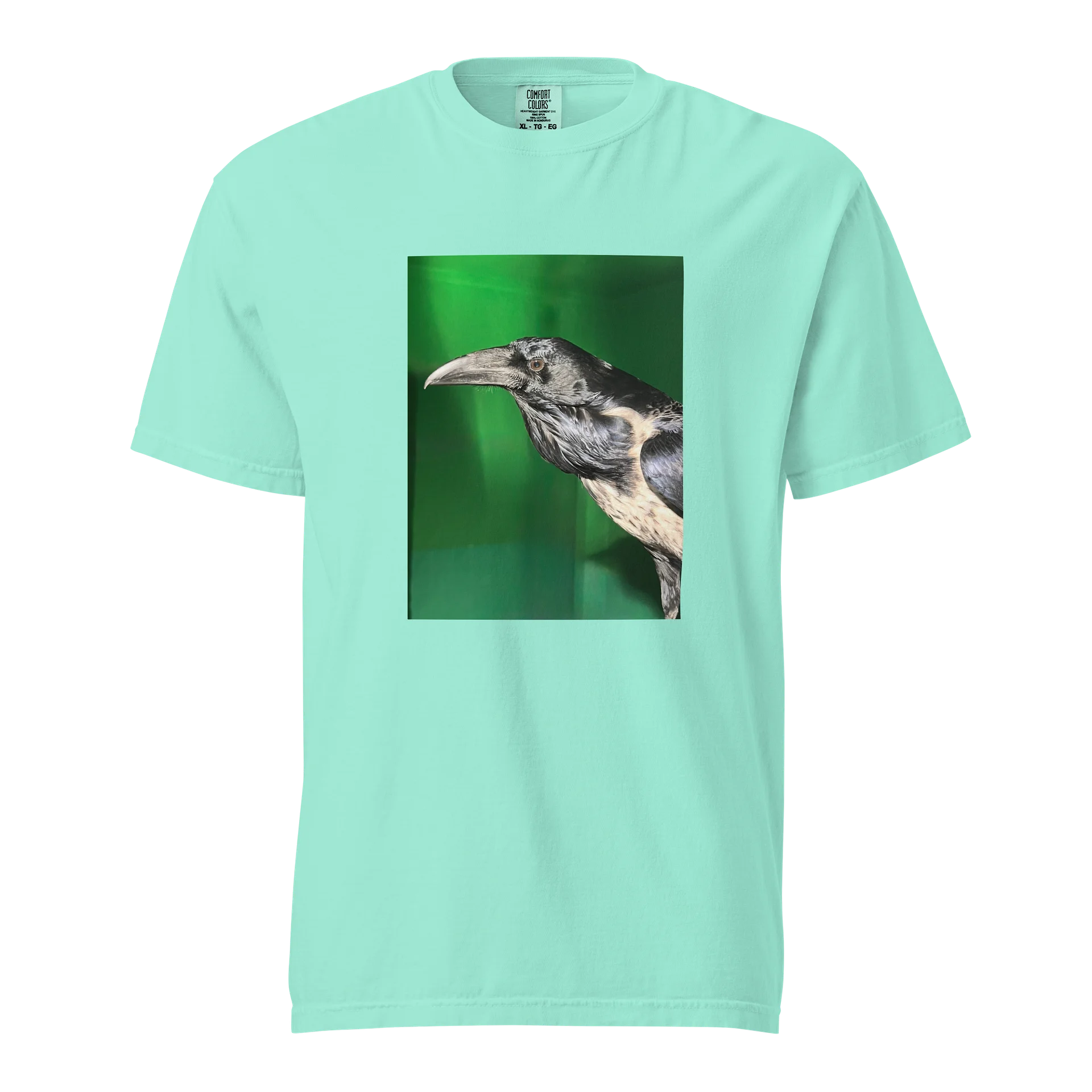 Sam the Raven product image (1)