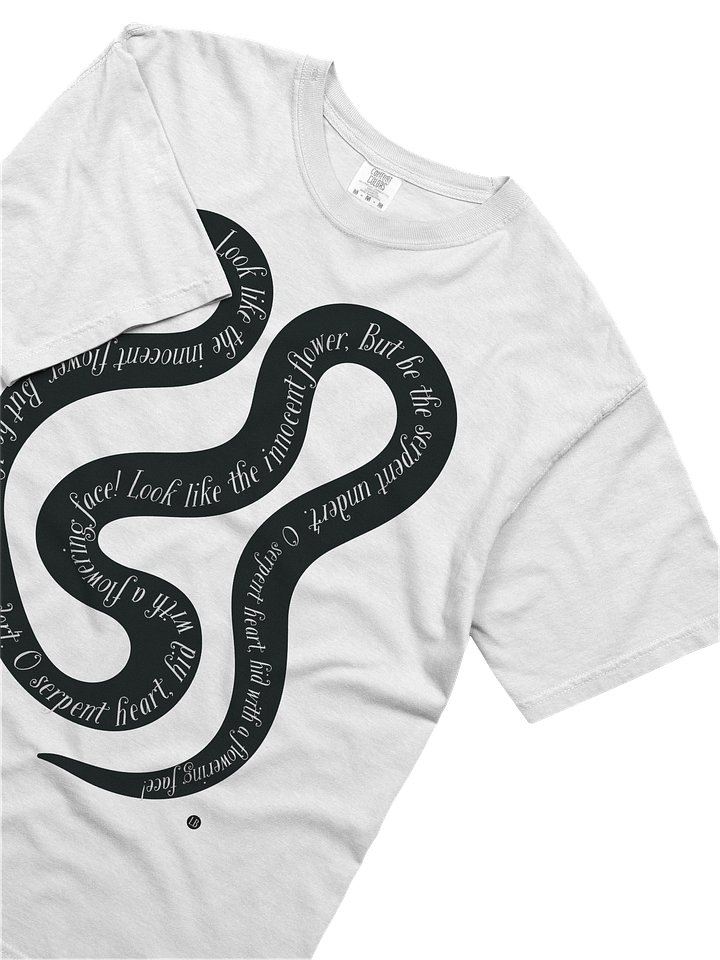 Serpent's Verse Heavyweight Tee product image (2)