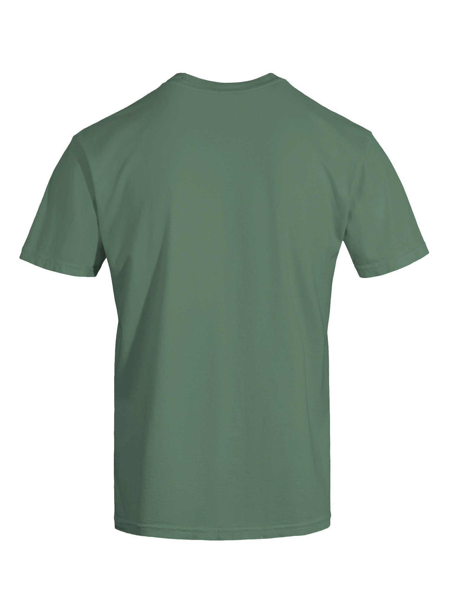 IronEval Bison — Signature Gym Tee product image (7)