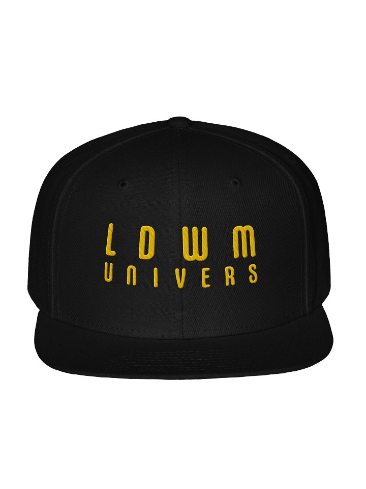 LDWM Snapback product image (1)