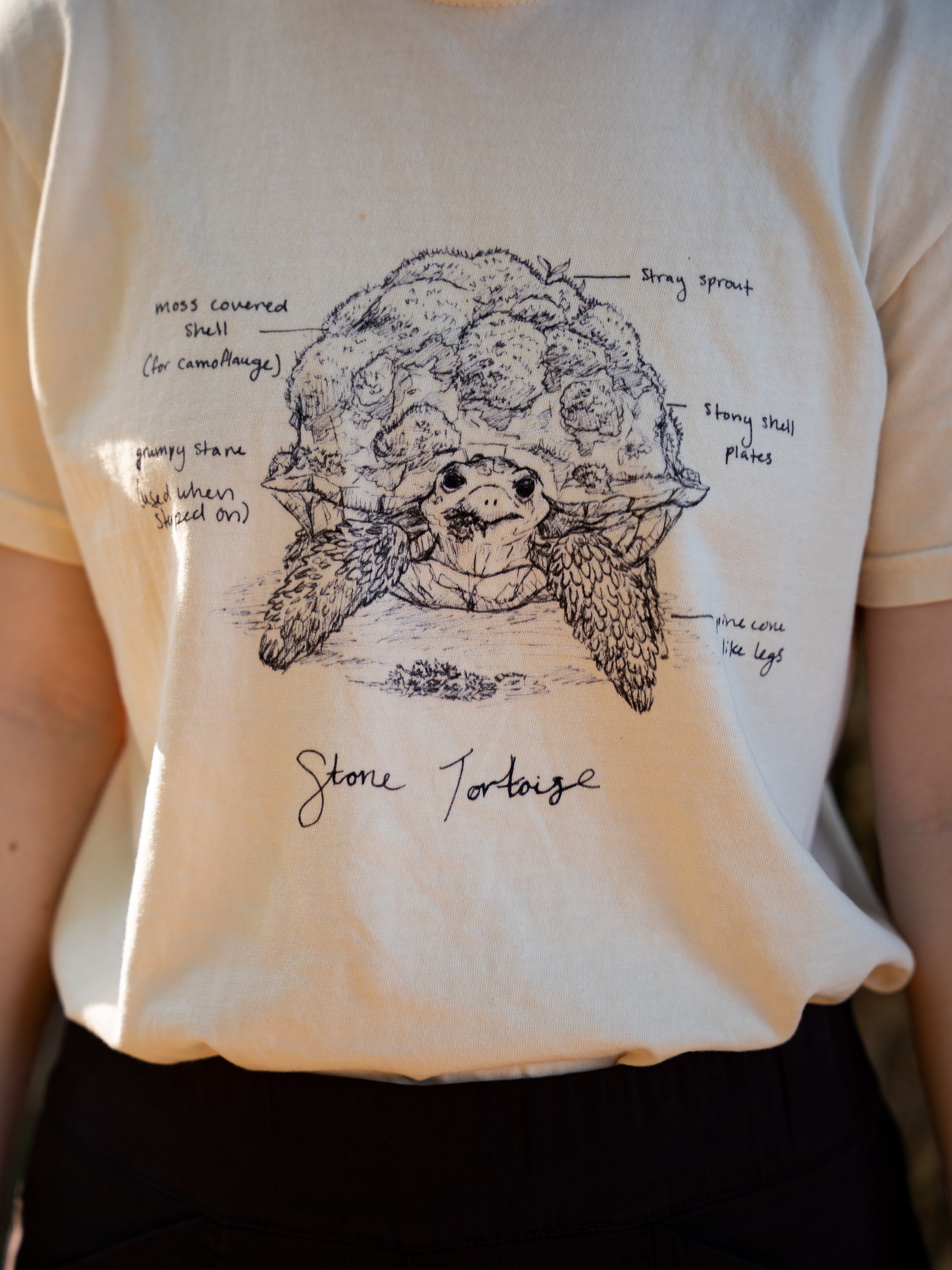 Stone Tortoise T-Shirt product image (3)