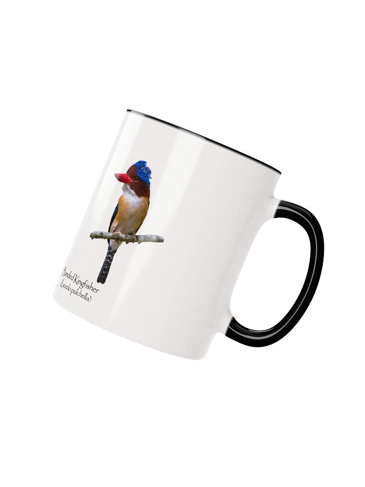 Banded Kingfisher mug product image (2)
