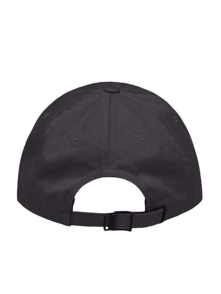 Life in LA Hat - Dark Grey product image (2)