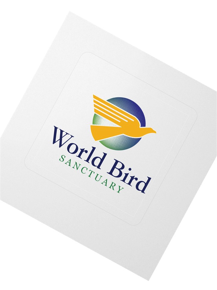 WBS Logo Sticker product image (4)