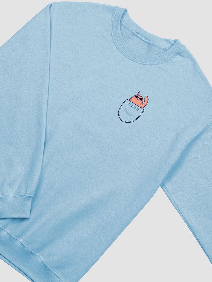 g_birb in my pocket sweatshirt! product image (2)
