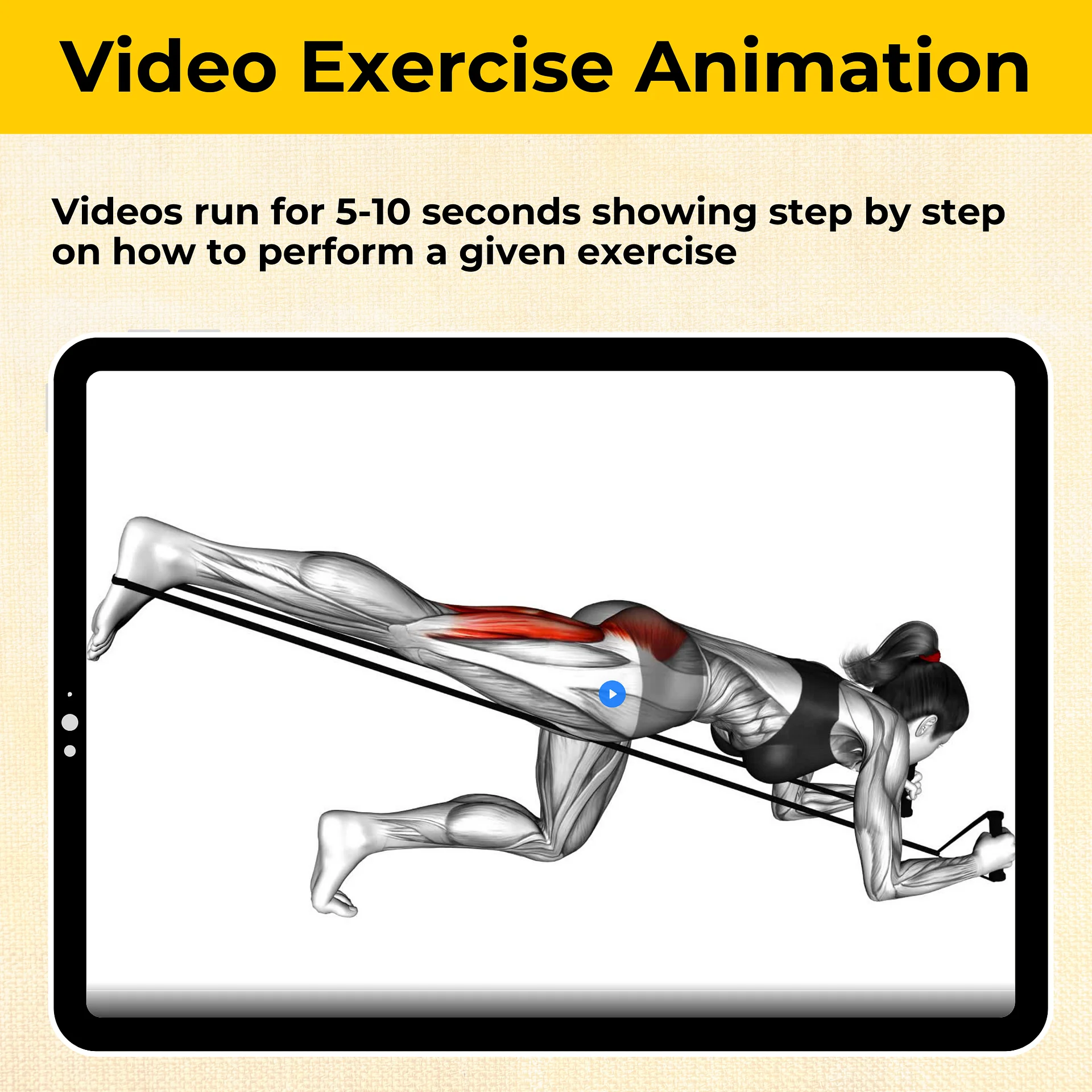 4-Week Resistance Bands Weight Loss Workout Program product image (6)