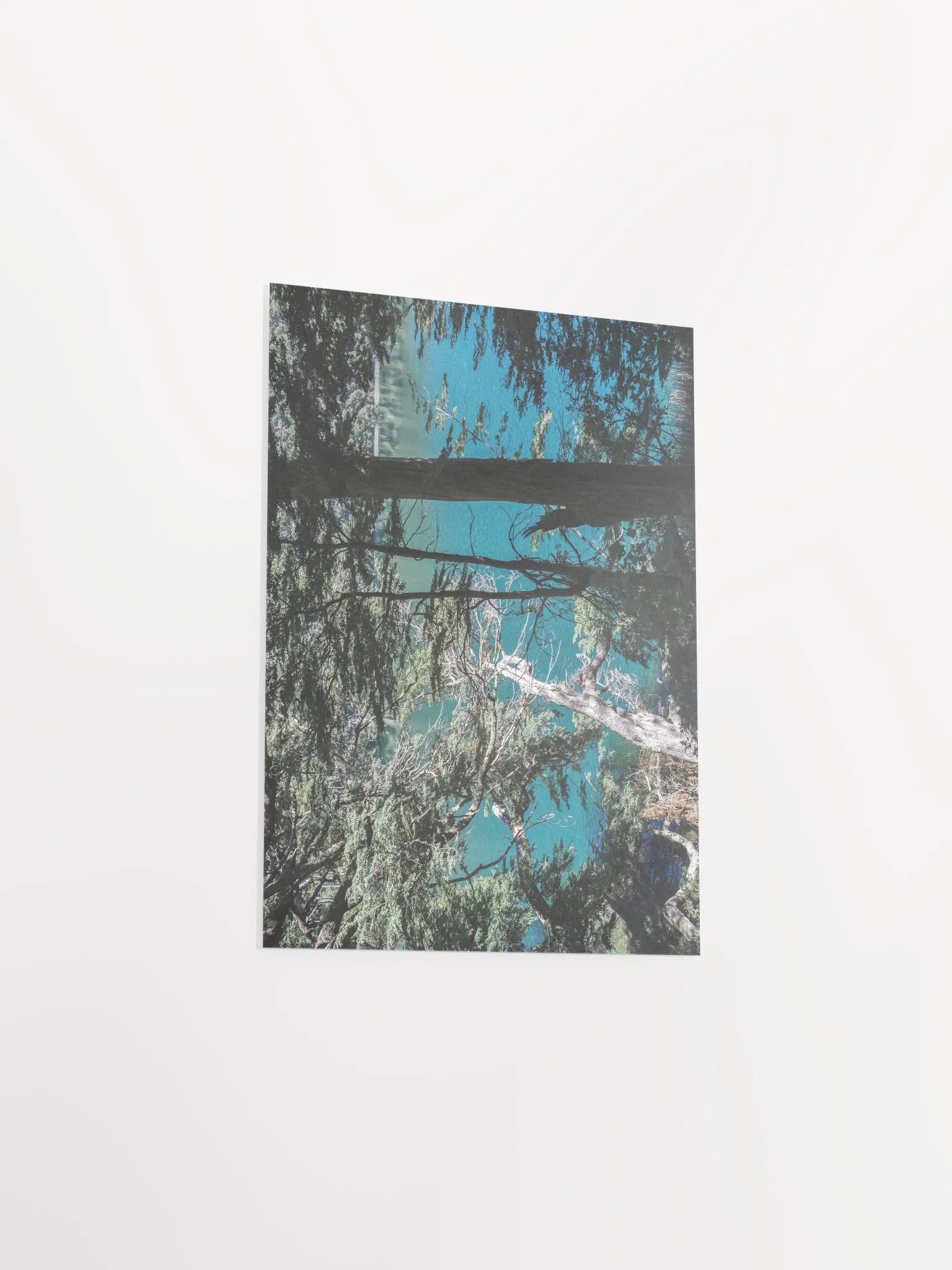 Lago Espejo Patagonia - Enhanced Matte Paper Poster product image (4)