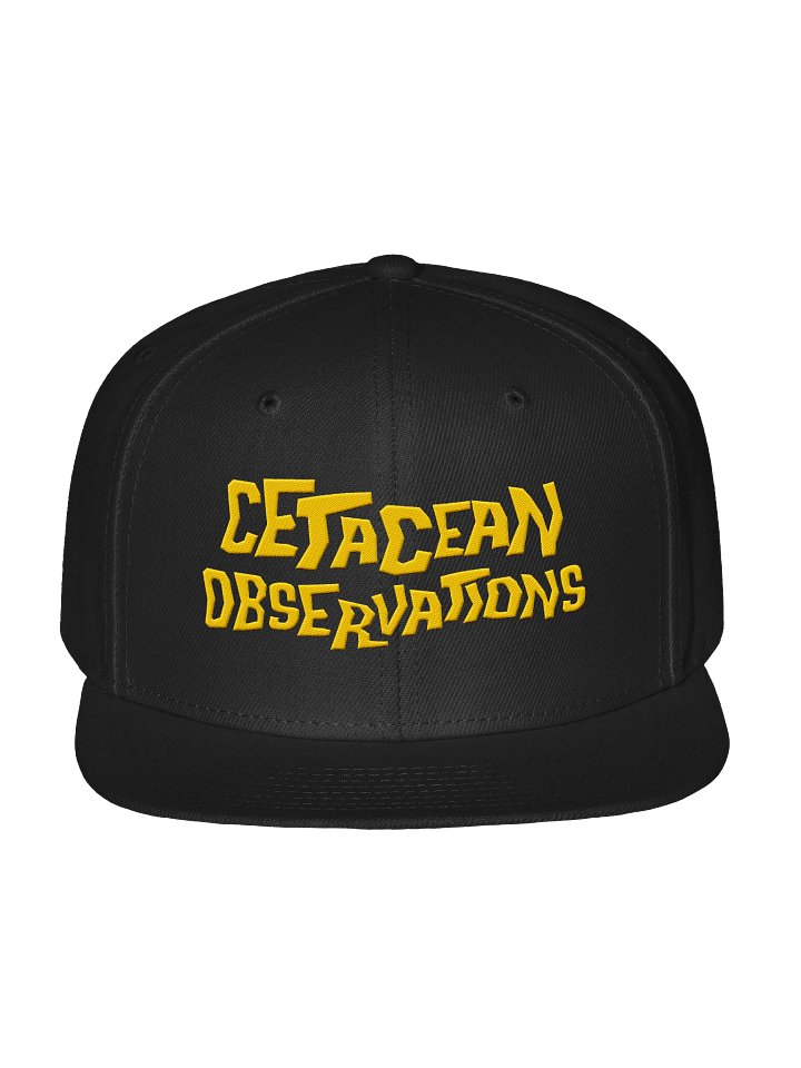 TrekCulture: Cetacean Observations - Snapback product image (1)