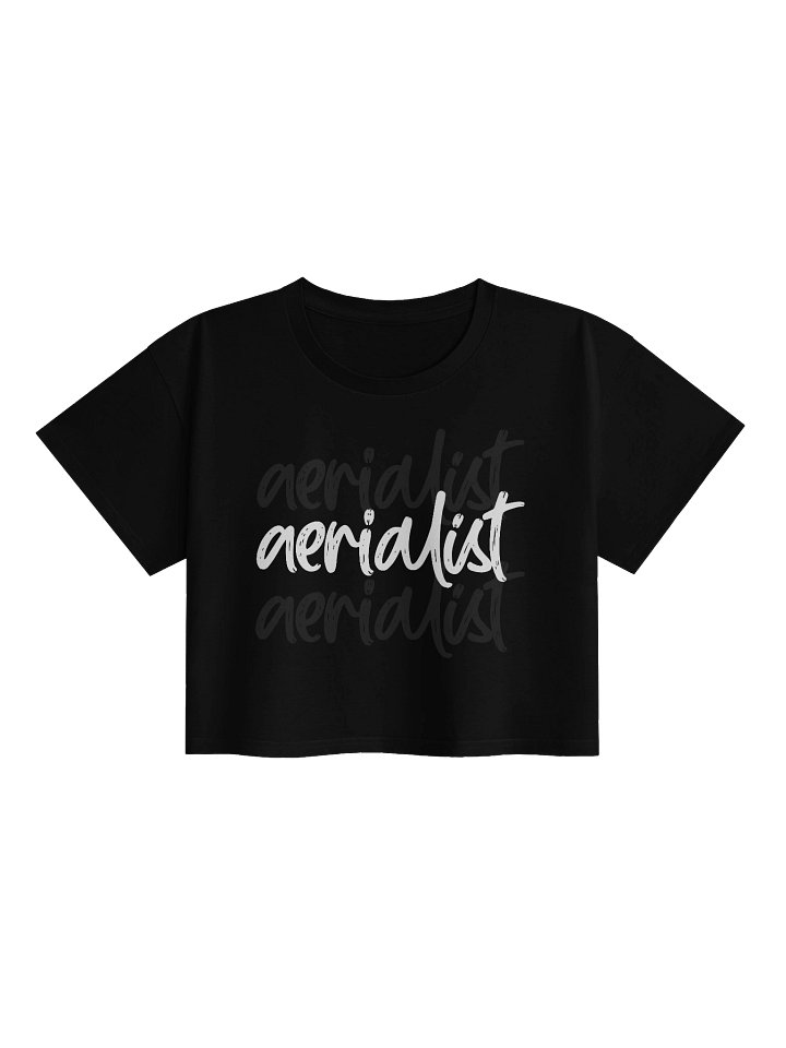 Aerialist Crop Top product image (1)
